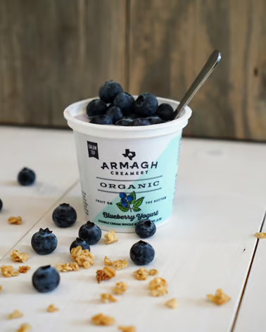 armaghcreamery-product-shot-blueberryyogurt